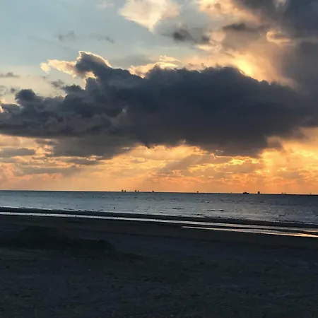 아파트 Noorwijk18 *