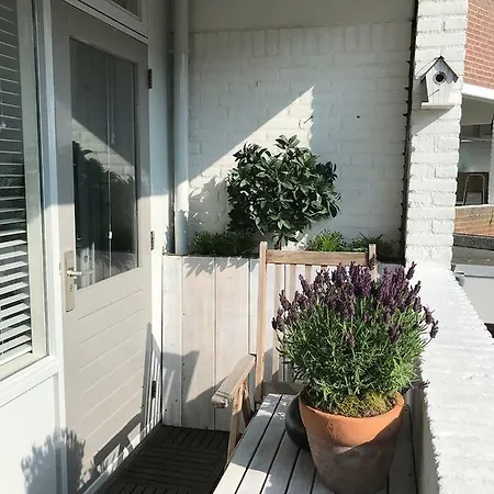 Noorwijk18 * 노르트베이크
